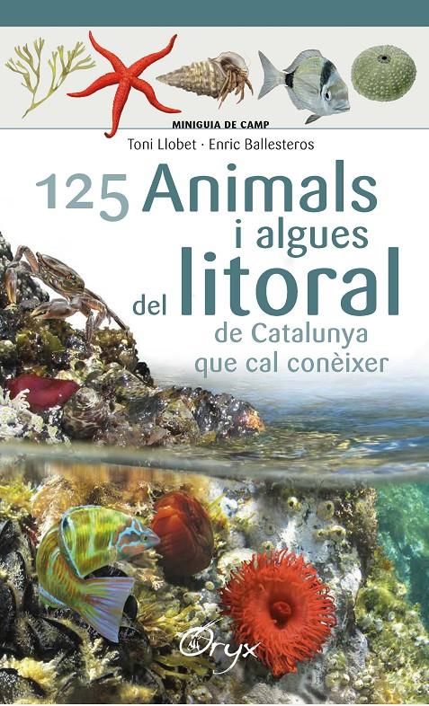 125 animals i algues del litoral de Catalunya | 9788490347416 | Ballesteros Sagarra, Enric | Librería online de Figueres / Empordà