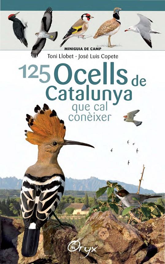 125 ocells de Catalunya | 9788490346747 | Llobet François, Toni/Copete, José Luis | Llibreria online de Figueres i Empordà