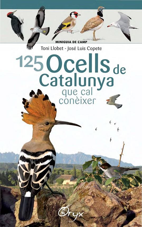 125 ocells de Catalunya | 9788490346747 | Llobet François, Toni/Copete, José Luis | Llibreria online de Figueres i Empordà