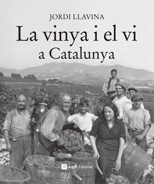 La vinya i el vi a Catalunya | 9788416139187 | Llavina Murgadas, Jordi | Llibreria online de Figueres i Empordà