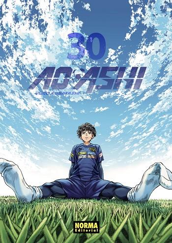 AO ASHI #30 | 9788467973051 | Kobayashi, Yugo | Llibreria online de Figueres i Empordà