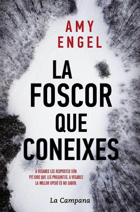La foscor que coneixes | 9788416863730 | Engel, Amy | Llibreria online de Figueres i Empordà