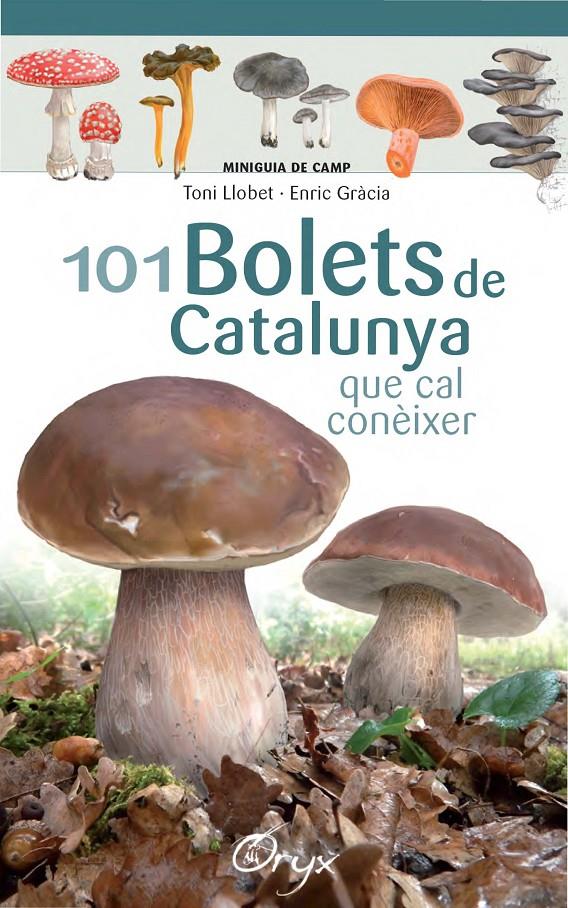 101 bolets de Catalunya | 9788490347096 | Llobet François, Toni/Gràcia, Enric | Librería online de Figueres / Empordà