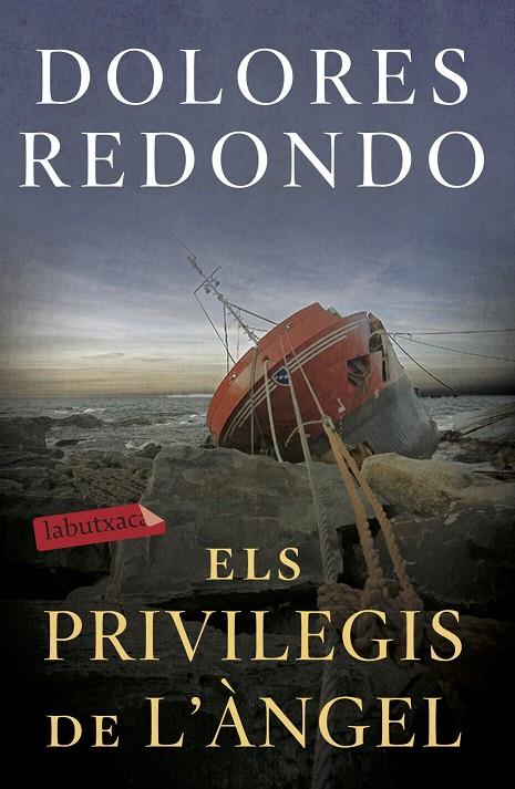 Els privilegis de l'àngel | 9788417423971 | Redondo, Dolores | Librería online de Figueres / Empordà