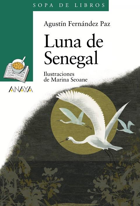 Luna de Senegal | 9788466784306 | Fernández Paz, Agustín | Llibreria online de Figueres i Empordà