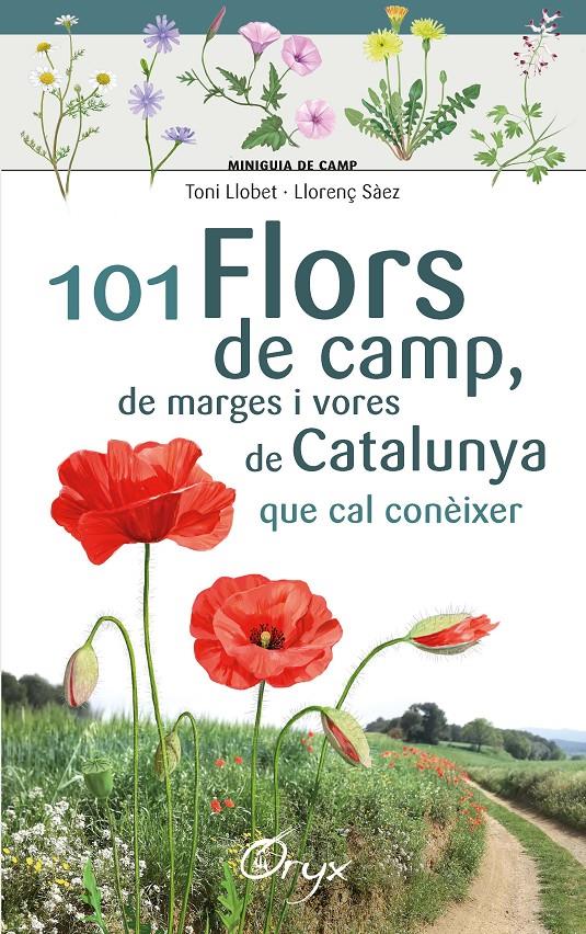 101 flors de camp, de marges i vores de Catalunya | 9788490348413 | Llobet François , Toni/Sàez Goñalons , Llorenç | Librería online de Figueres / Empordà