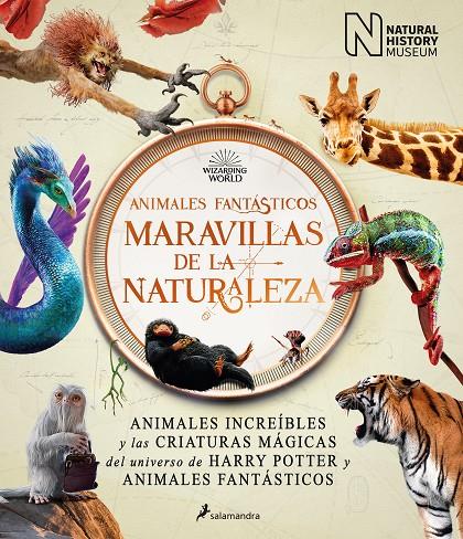 Animales fantásticos: maravillas de la naturaleza | 9788418637056 | The National History Museum, | Librería online de Figueres / Empordà