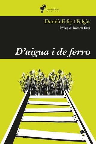 D'AIGUA I DE FERRO | 9788412575255 | Felip i Falgàs, Damià  | Llibreria online de Figueres i Empordà