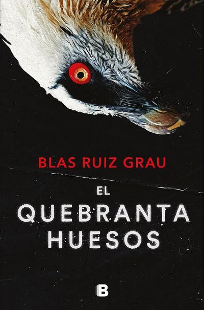 El quebrantahuesos (Nicolás Valdés 4) | 9788466673600 | Ruiz Grau, Blas | Llibreria online de Figueres i Empordà