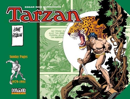 TARZAN 1979-1981 #06 | 9788419380302 | Kane, Gil/Goodwin, Archie | Librería online de Figueres / Empordà
