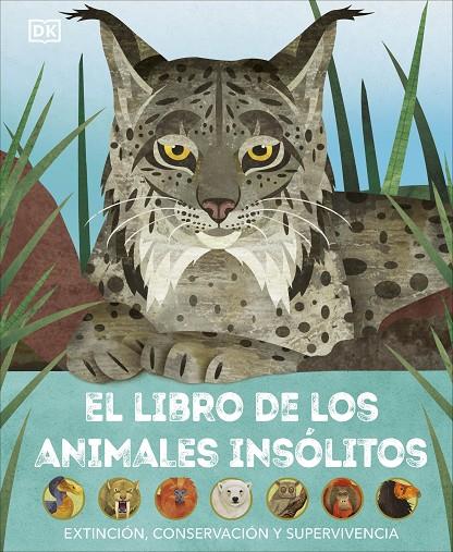 El libro de los animales insólitos | 9780241637692 | DK | Librería online de Figueres / Empordà