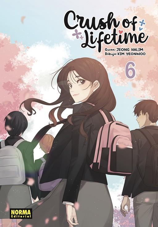CRUSH OF LIFETIME #06. ED. ESPECIAL | 9788467976663 | JEONG, HALIM/KIM, YEONWOO | Llibreria online de Figueres i Empordà