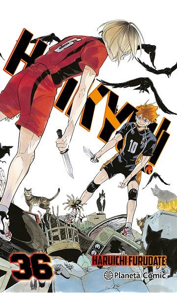 Haikyû!! #36 | 9788411619370 | Furudate, Haruichi | Librería online de Figueres / Empordà