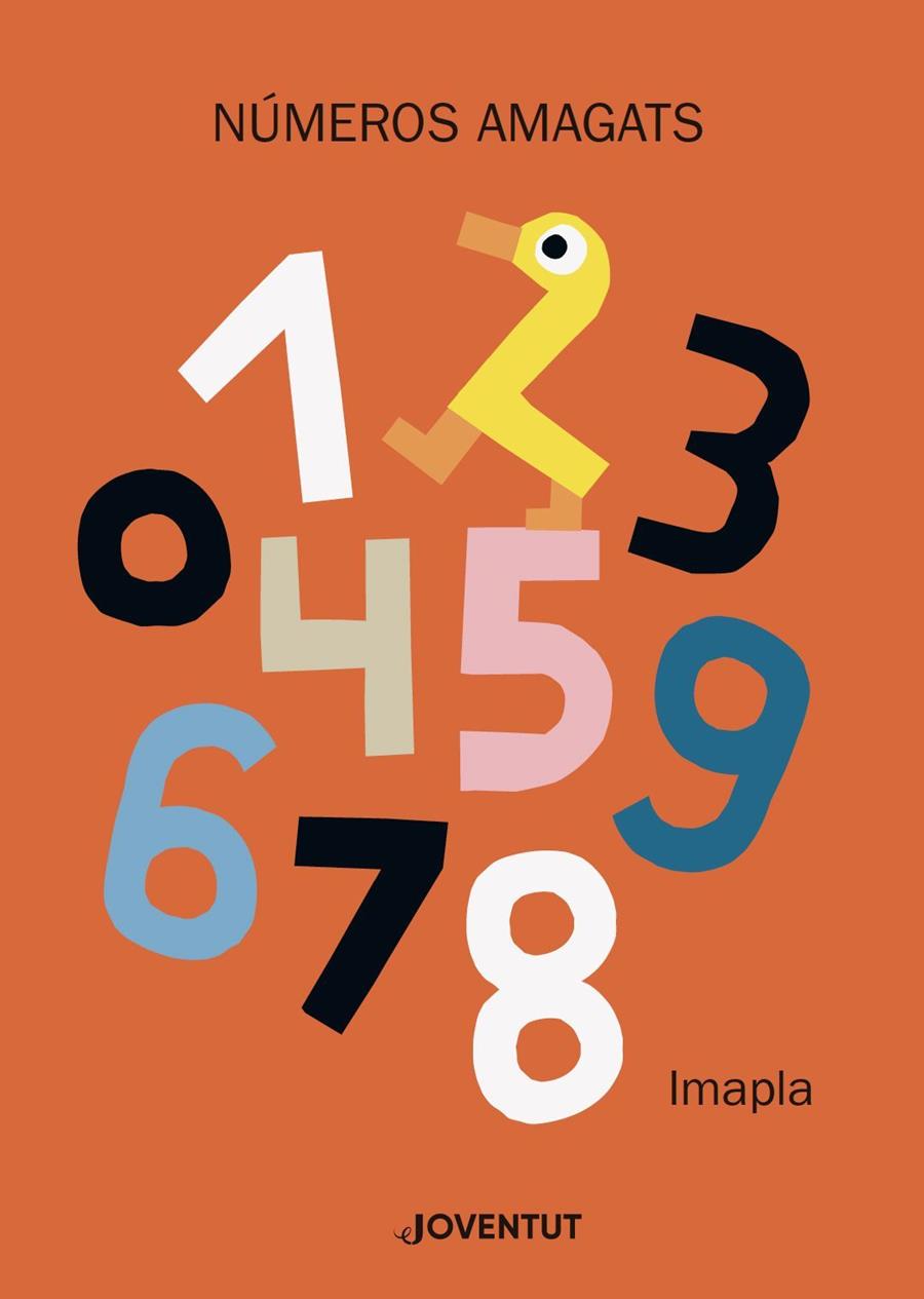 Números amagats | 9788426145741 | Pla Santamans, Imma | Librería online de Figueres / Empordà