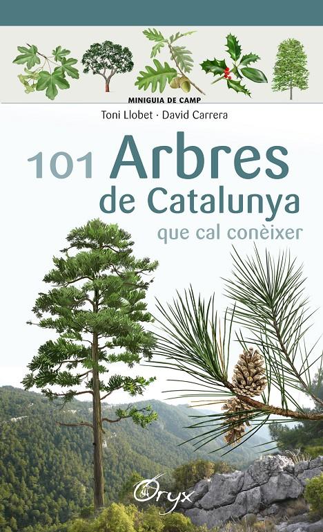 101 arbres de Catalunya | 9788490346778 | Llobet François, Toni/Carrera Bonet, David | Librería online de Figueres / Empordà