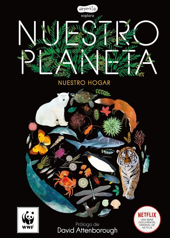Nuestro planeta | 9788417222765 | Whyman, Matt | Librería online de Figueres / Empordà