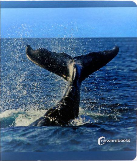 Animales del mar | 9788412344561 | Llibreria online de Figueres i Empordà