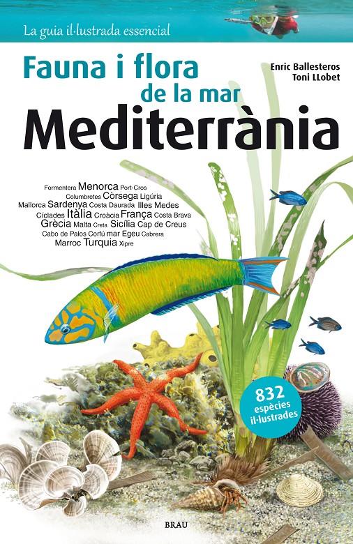 Flora i fauna de la mar Mediterrània | 9788415885252 | Ballesteros Sagarra, Enric | Librería online de Figueres / Empordà
