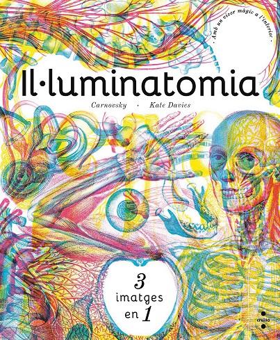 IL·LUMINATOMIA (CAT) | 9788466143240 | Carnovsky,/Davies, Kate | Llibreria online de Figueres i Empordà