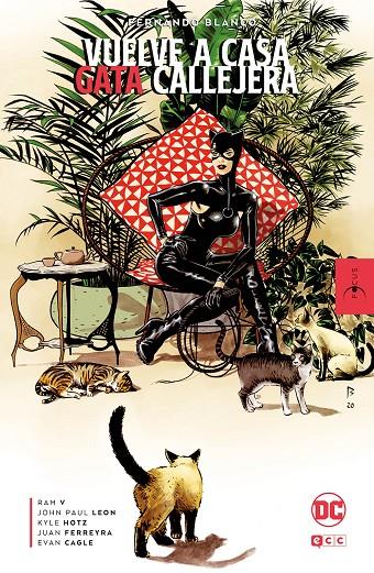 FOCUS - Fernando Blanco: Vuelve a casa, gata callejera | 9788419210968 | Ram V, Ram V | Librería online de Figueres / Empordà