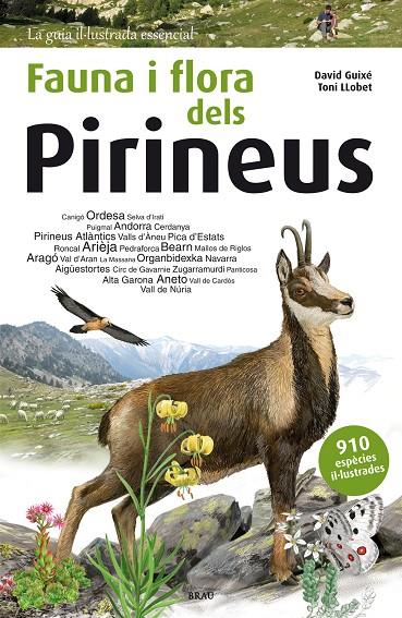 Fauna i flora dels Pirineus | 9788415885559 | Guixé Coromines, David | Llibreria online de Figueres i Empordà