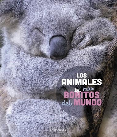 Los animales más bonitos del mundo | 9788419436177 | Ledu, Stéphanie | Llibreria online de Figueres i Empordà