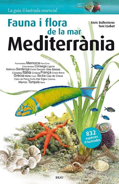 Fauna i flora de la mar Mediterrània | 9788415885979 | Ballesteros Sagarra, Enric | Llibreria online de Figueres i Empordà
