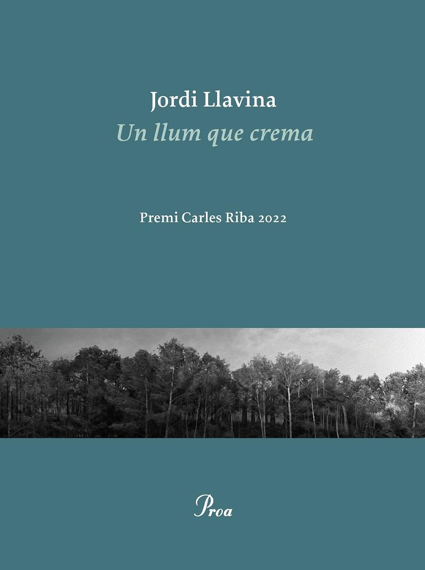 Un llum que crema | 9788475889979 | Llavina, Jordi | Llibreria online de Figueres i Empordà