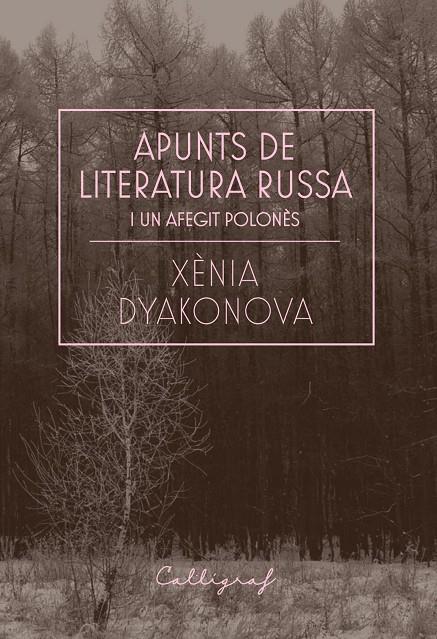 Apunts de literatura russa i un afegit polonès | 9788412212358 | Dyakonova, Xènia | Llibreria online de Figueres / Empordà