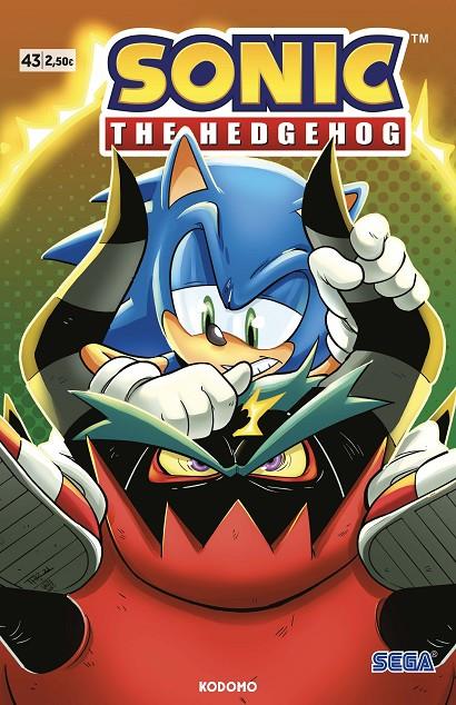Sonic: The Hedhegog #43 | 9788419678188 | Flynn, Ian | Llibreria online de Figueres i Empordà