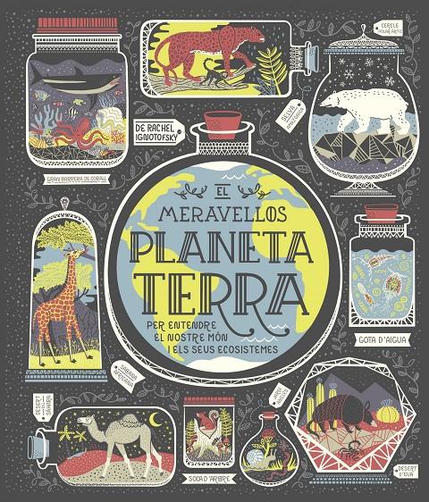 El meravellós planeta Terra | 9788491378778 | Ignotofsky, Rachel | Llibreria online de Figueres i Empordà