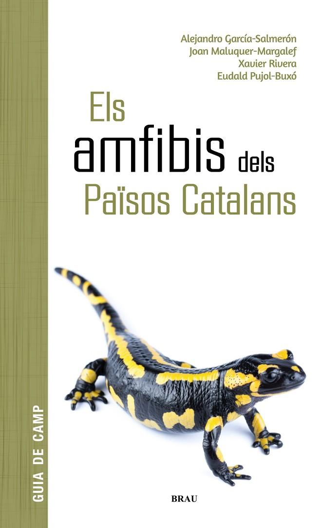Els amfibis dels Països Catalans | 9788418096341 | García Salmerón, Alejandro/Maluquer Margalef, Joan/Rivera Mula, Xavier/Pujol Buxó, Eudald | Llibreria online de Figueres i Empordà