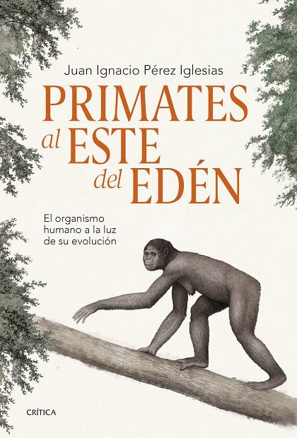 Primates al este del Edén | 9788491995869 | Pérez Iglesias, Juan Ignacio | Llibreria online de Figueres i Empordà