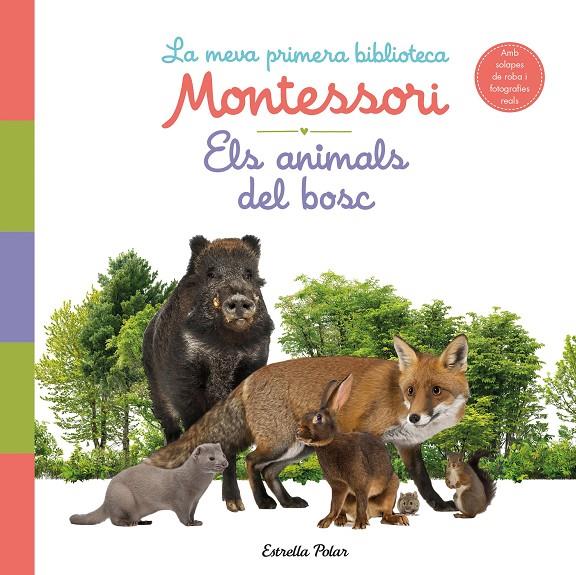 Els animals del bosc. La meva primera biblioteca Montessori | 9788413890159 | AA. VV. | Llibreria online de Figueres i Empordà