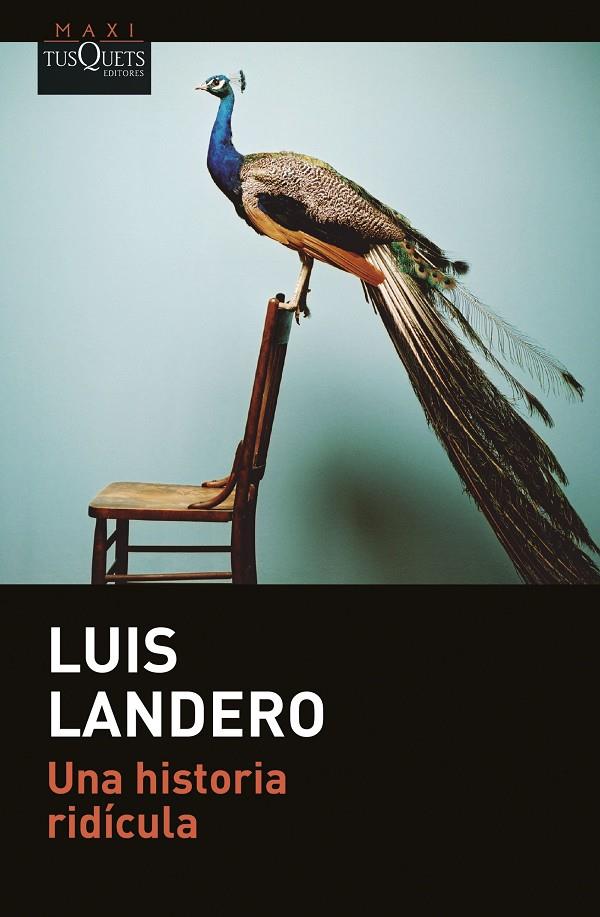 Una historia ridícula | 9788411073288 | Landero, Luis | Llibreria online de Figueres i Empordà