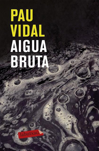 Aigua bruta | 9788499301228 | Vidal Gavilan, Pau | Llibreria online de Figueres i Empordà