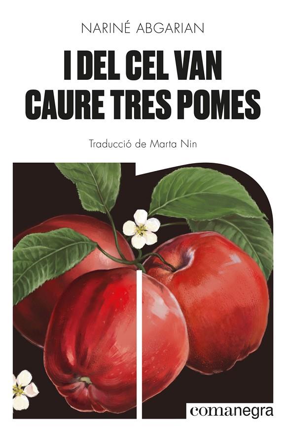 I del cel van caure tres pomes | 9788418857041 | Abgarian, Nariné | Llibreria online de Figueres i Empordà