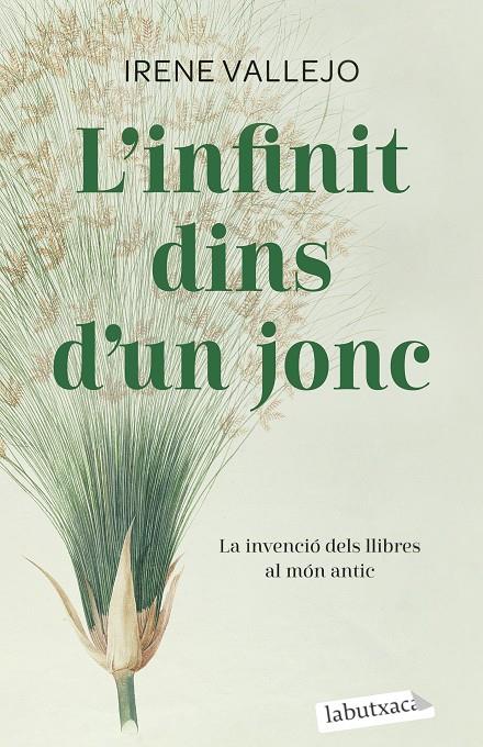 L'infinit dins d'un jonc | 9788419107121 | Vallejo, Irene | Llibreria online de Figueres i Empordà