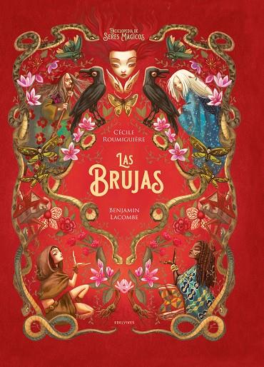 Las brujas | 9788414041697 | Roumiguière, Cécile/Lacombe, Benjamin | Llibreria online de Figueres i Empordà