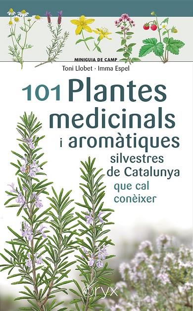 101 Plantes medicinals i aromàtiques silvestres de Catalunya | 9788413562209 | Espel, Imma/Llobet François, Toni | Llibreria online de Figueres i Empordà