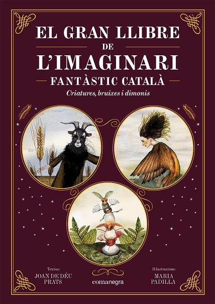El gran llibre de l'imaginari fantàstic català | 9788419590558 | Prats, Joan de Déu/Padilla, Maria | Librería online de Figueres / Empordà