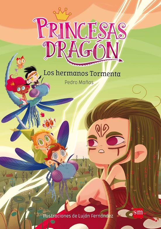 LOS HERMANOS TORMENTA (Princesas Dragón #05) | 9788491073116 | Pedro Mañas Romero | Librería online de Figueres / Empordà