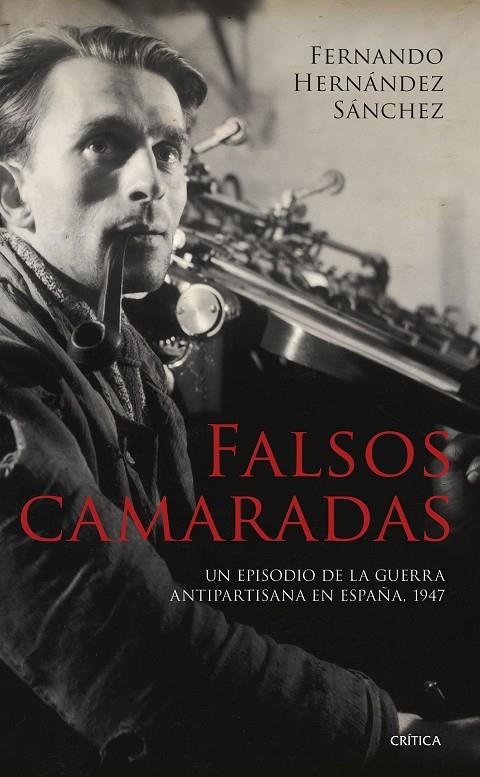 Falsos camaradas | 9788491995739 | Hernández Sánchez, Fernando | Llibreria online de Figueres i Empordà