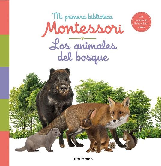 Los animales del bosque. Mi primera biblioteca Montessori | 9788408244608 | AA. VV. | Llibreria online de Figueres i Empordà