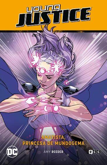 Young Justice #02: Amatista, princesa de Mundogema (Perdidos en el Multivers | 9788419186911 | Reeder, Amy | Llibreria online de Figueres i Empordà