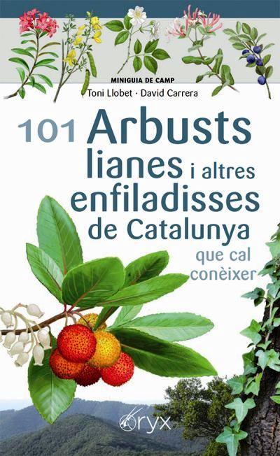 101 Arbusts, lianes i altres enfiladisses de Catalunya | 9788413560397 | Llobet François, Toni/Carrera Bonet, David | Llibreria online de Figueres i Empordà