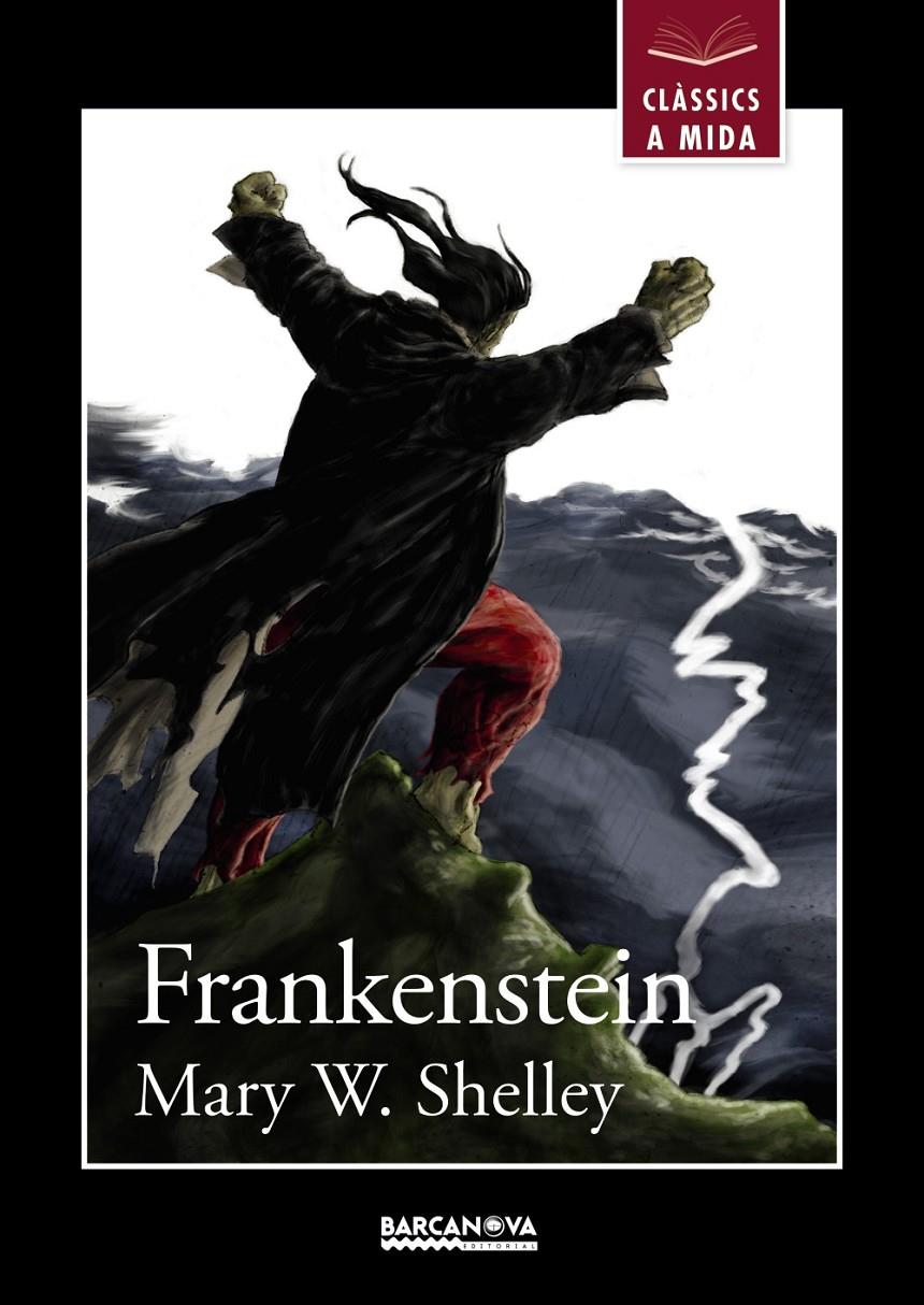 Frankenstein | 9788448934927 | Shelley, Mary | Librería online de Figueres / Empordà