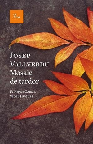 Mosaic de tardor | 9788419657244 | Vallverdú Aixalà, Josep | Llibreria online de Figueres i Empordà