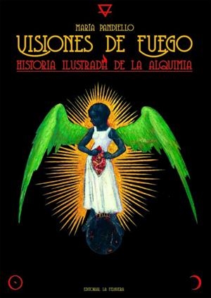 VISIONES DE FUEGO | 9788412466973 | PANDIELLO, MARÍA | Librería online de Figueres / Empordà