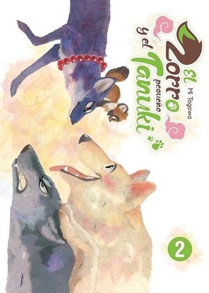 El zorro y el pequeño Tanuki #04 | 9788419296313 | Librería online de Figueres / Empordà